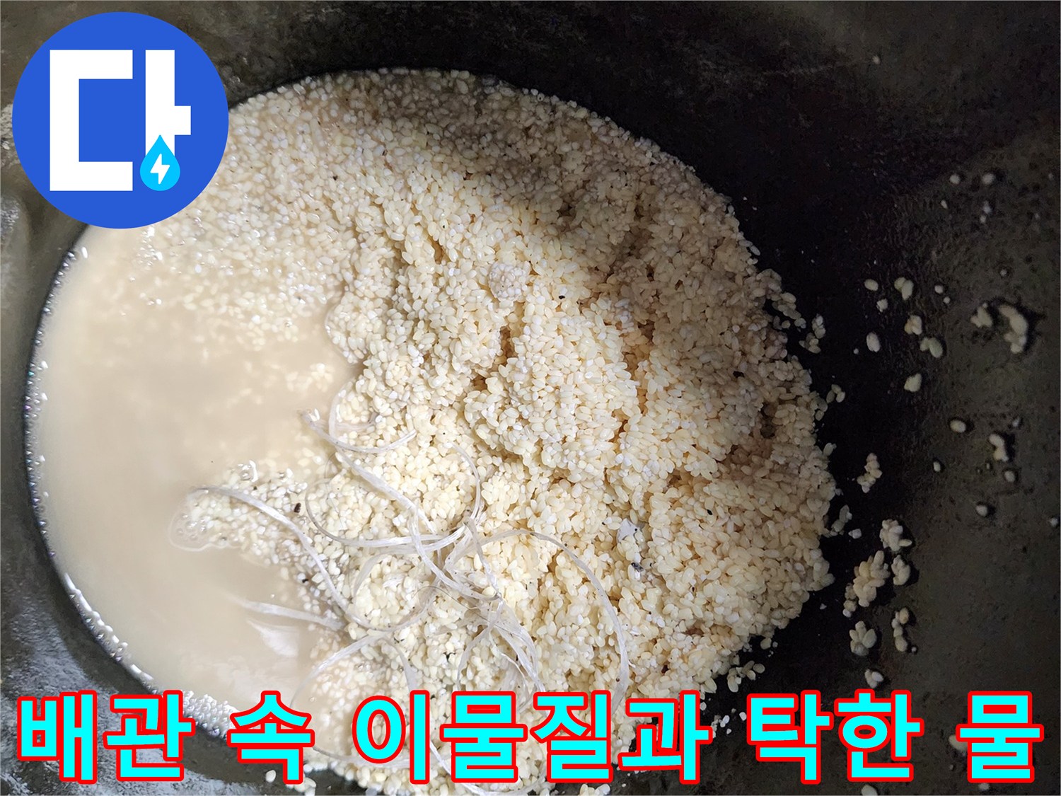 싱크대 배수관에서 추출된 하얀 유지방 슬러지와 오염된 물의 상태