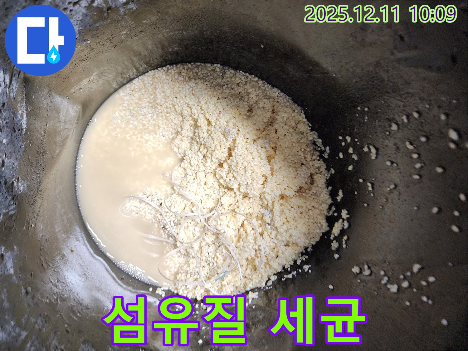 영중면 남궁리 누수 - 배관 속 섬유질은 세균 번식의 온상이 될 수 있습니다!