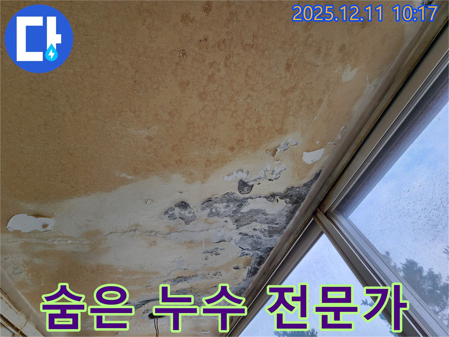 최첨단 장비 - 믿음직한 전문가의 누수 해결