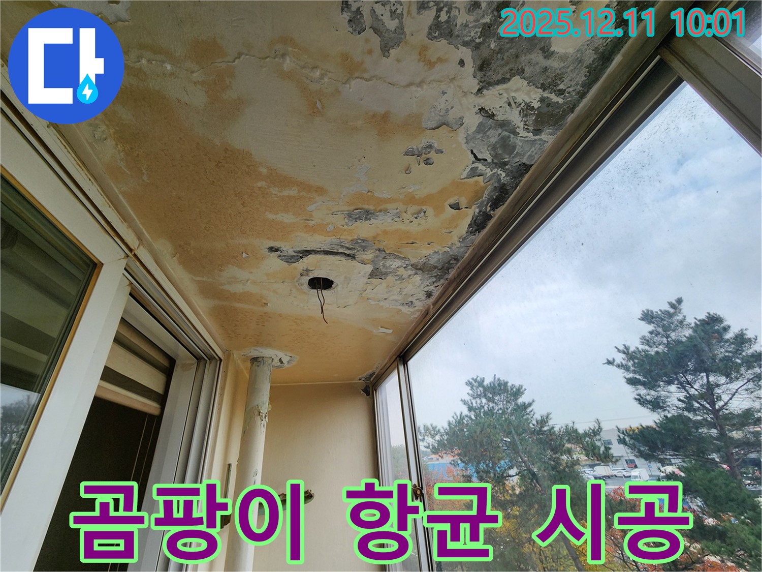 포천 영중면 남궁리 - 베란다 천장 누수 - 곰팡이 제거 후 항균 시공으로 곰팡이 재발 방지