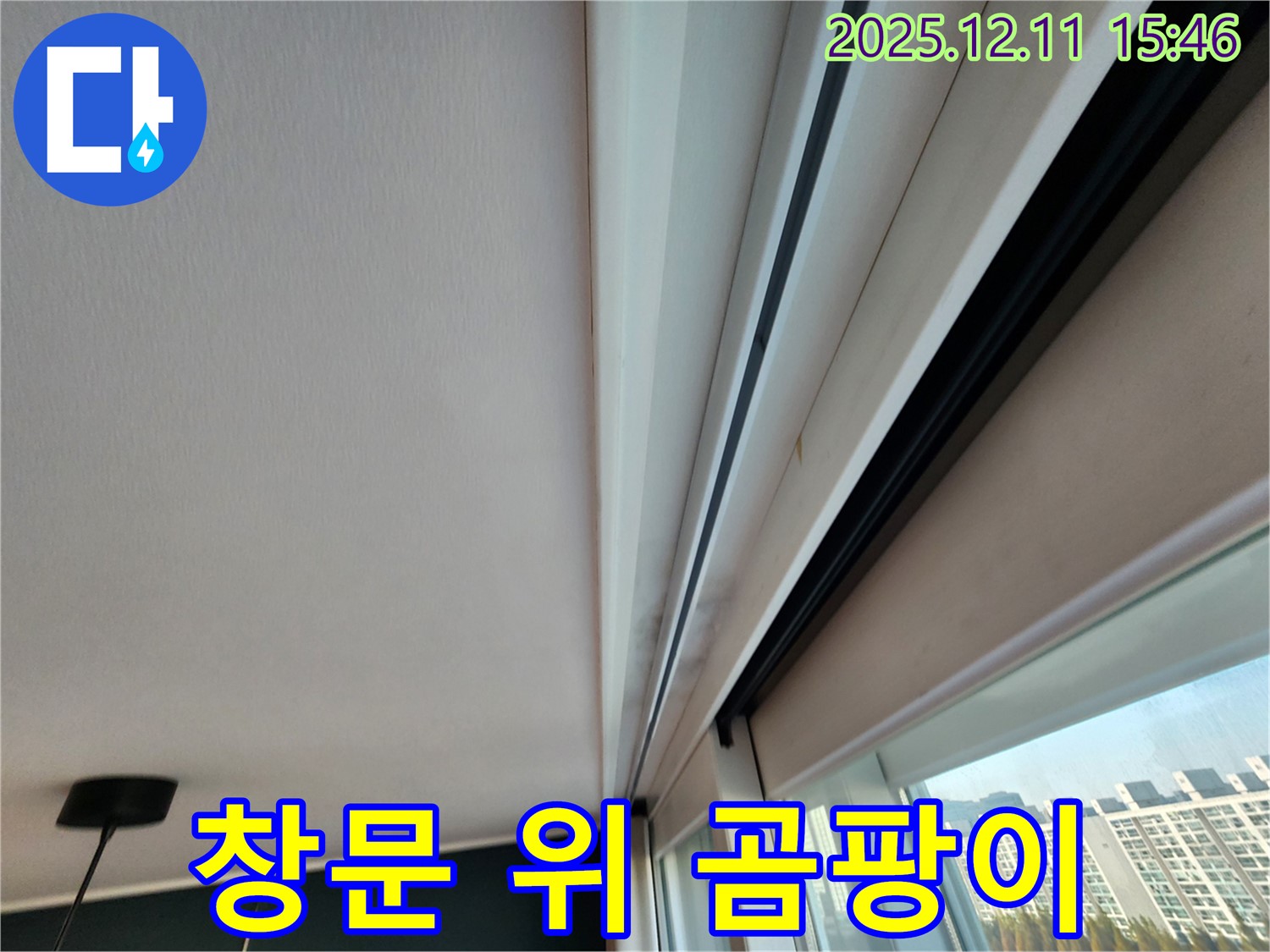 영중면 남궁리 창문 위 곰팡이 - 실리콘 문제로 인한 누수 진단