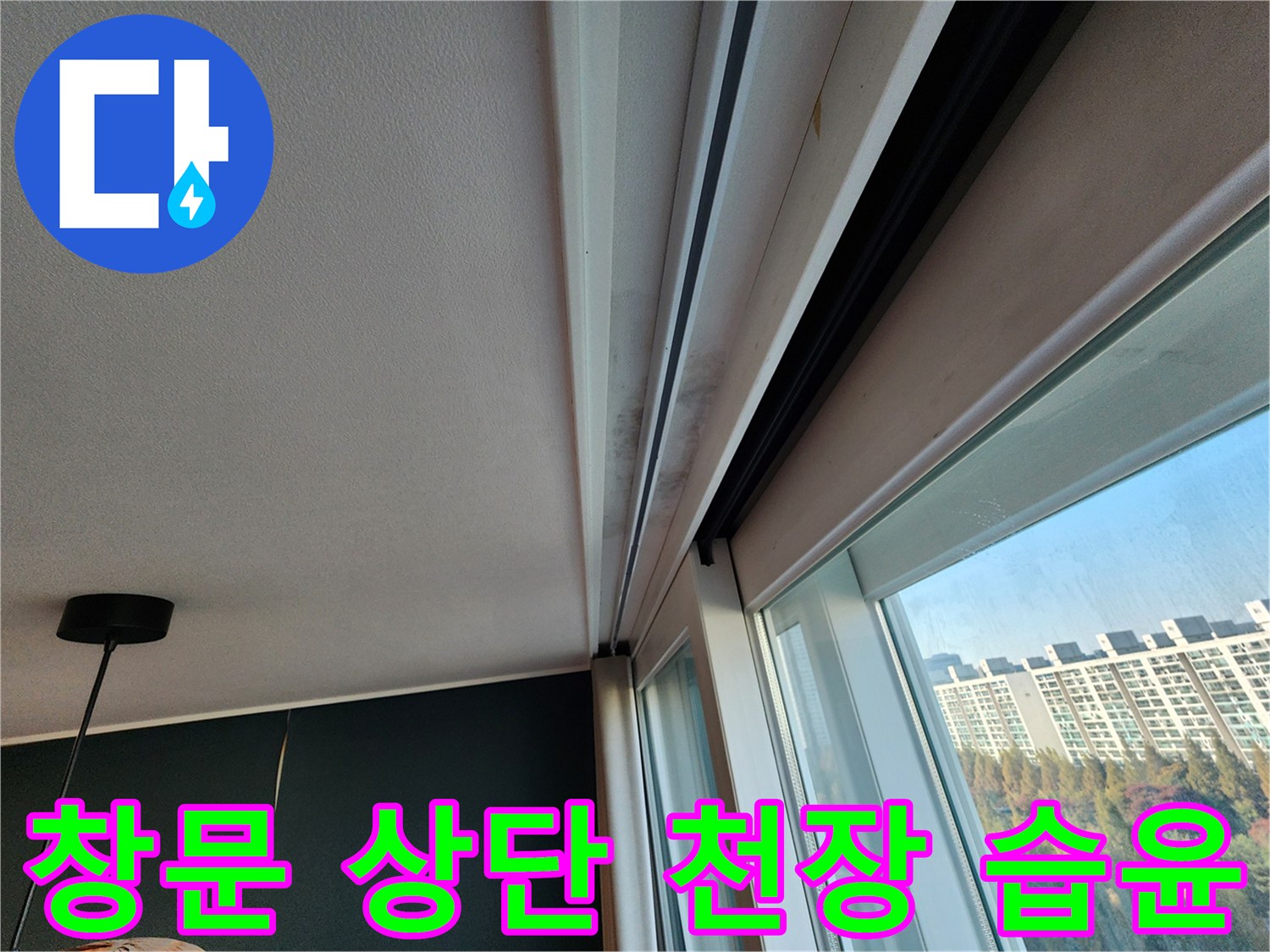 천장 몰딩과 창틀 프레임 사이의 변색된 부위