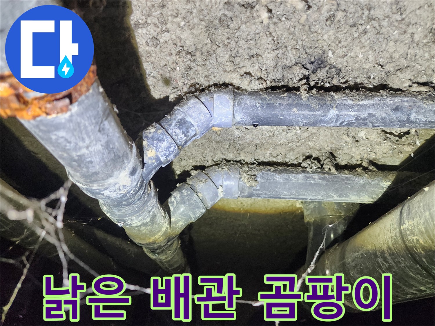 보문동 아남아파트 지하실 천장 낡은 배관 주변에 곰팡이가 발생한 누수 현장