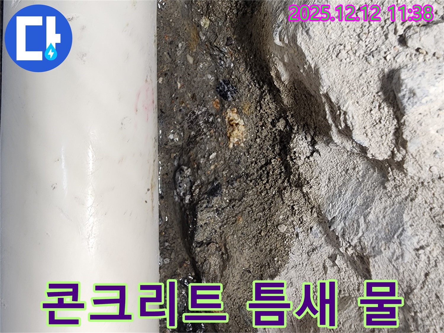 영송리 - 콘크리트 틈새 물 고임, 주택 누수 긴급 점검
