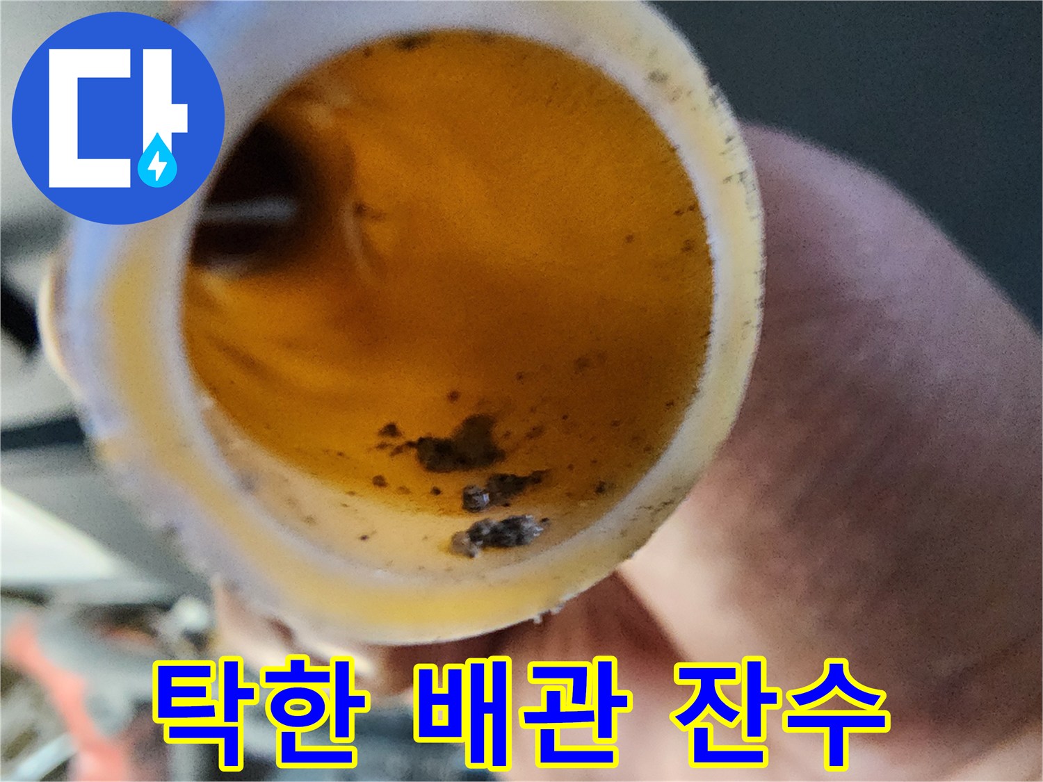 배관 청소 후 용기에 모인 갈색빛의 오염된 물