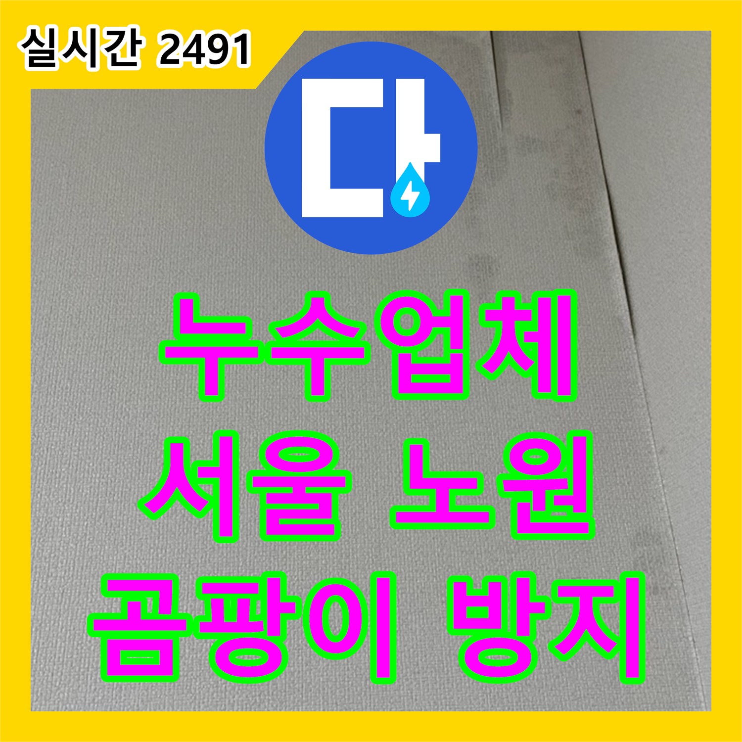 누수업체, 천장 누수 흔적을 발견하고 곰팡이 번식 가능성까지 고려하여 해결하는 전문 서비스, 서울 노원