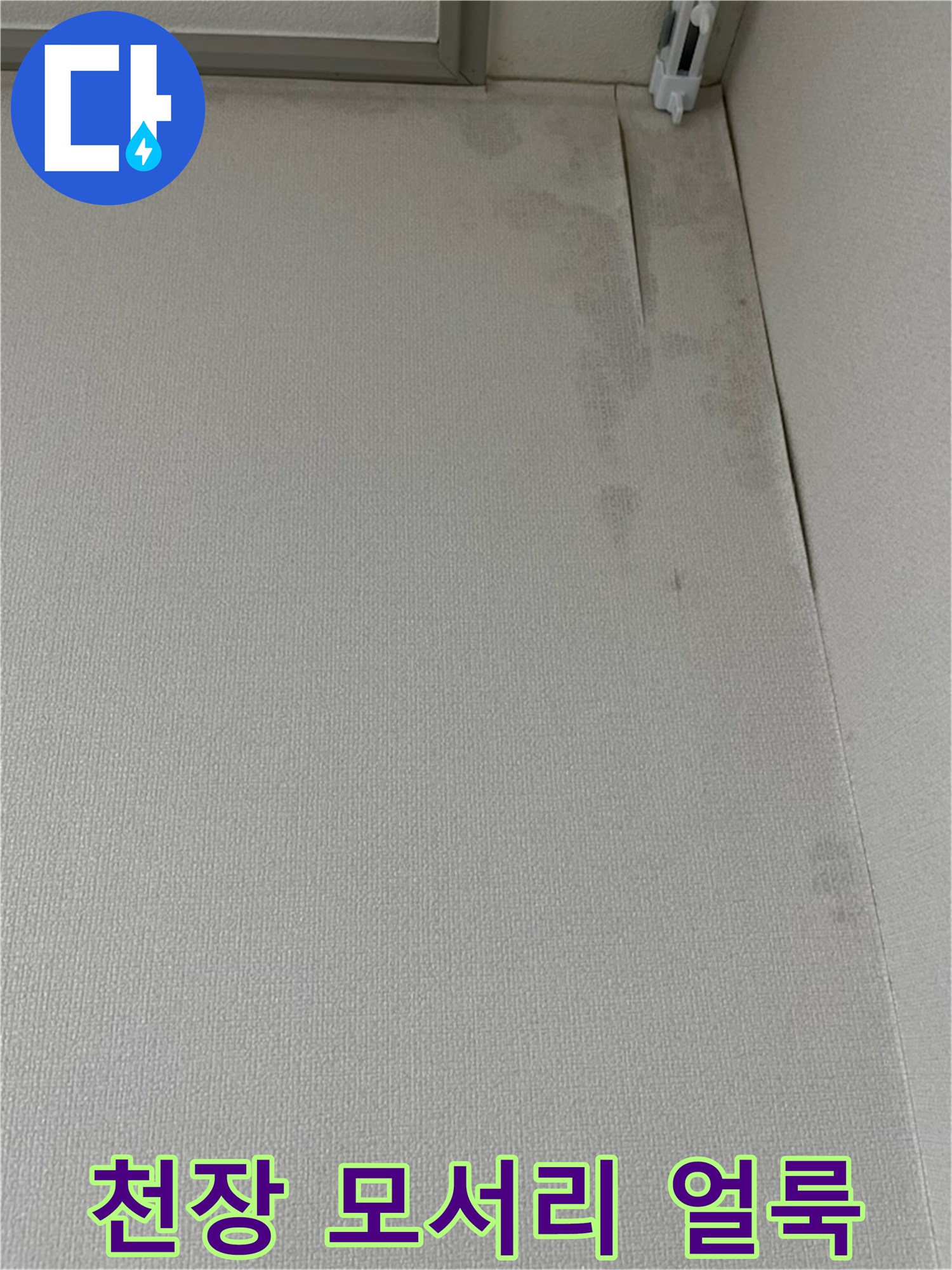 벽지와 천장이 만나는 지점의 젖은 얼룩 부위