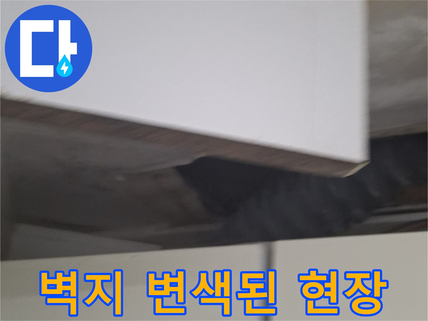 중계동 현장의 젖은 벽지와 얼룩진 마감재 상세 모습