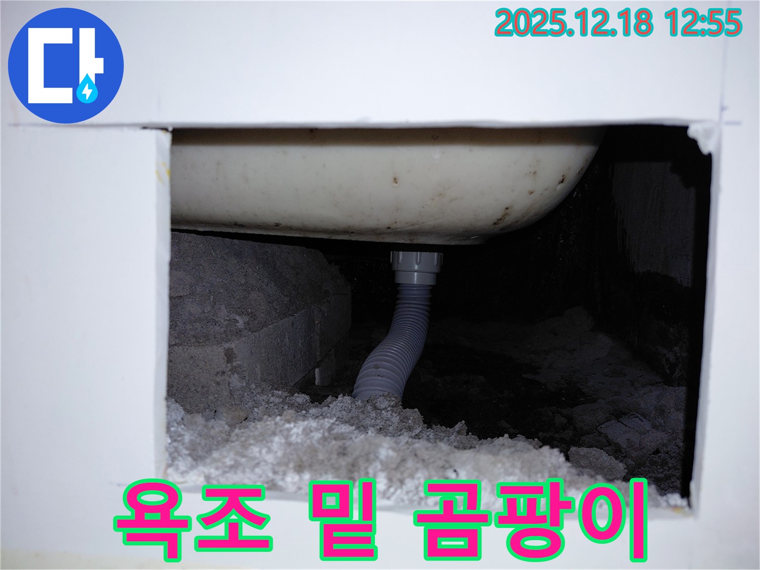 욕조 밑에서 습기와 곰팡이가 발견된 모습입니다 - 누수 가능성이 매우 높습니다.