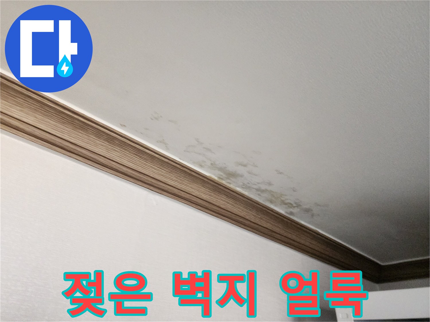 물기에-젖어-변색된-천장-벽지