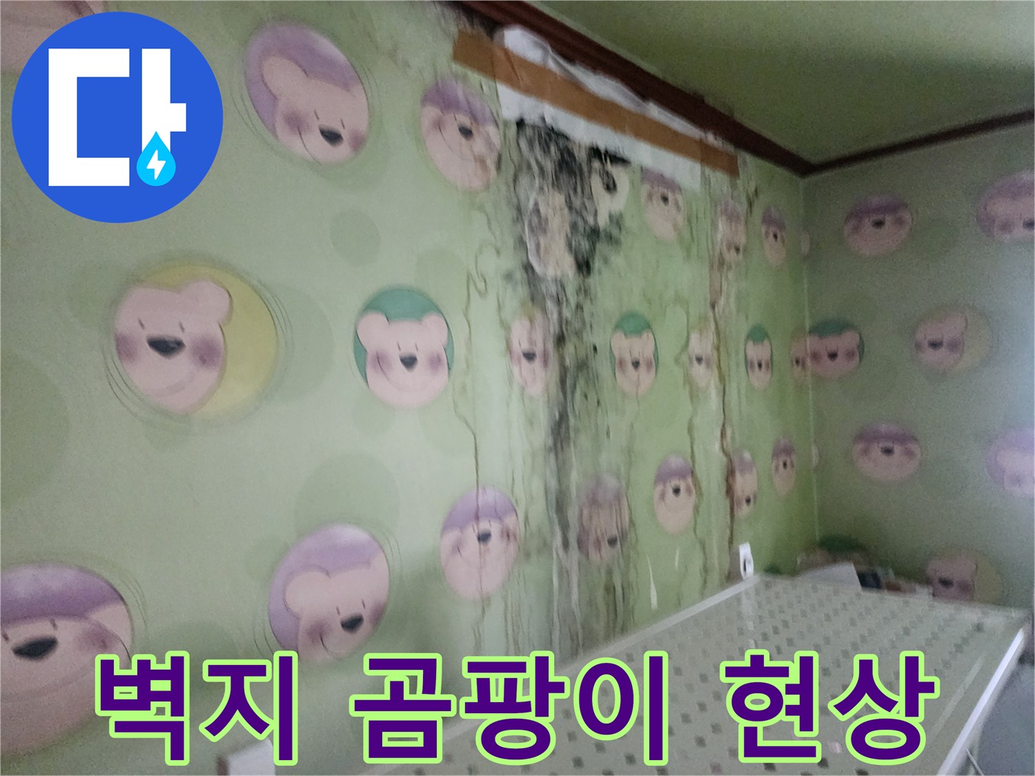 아이방-캐릭터-벽지에-발생한-심각한-검은-곰팡이-상태