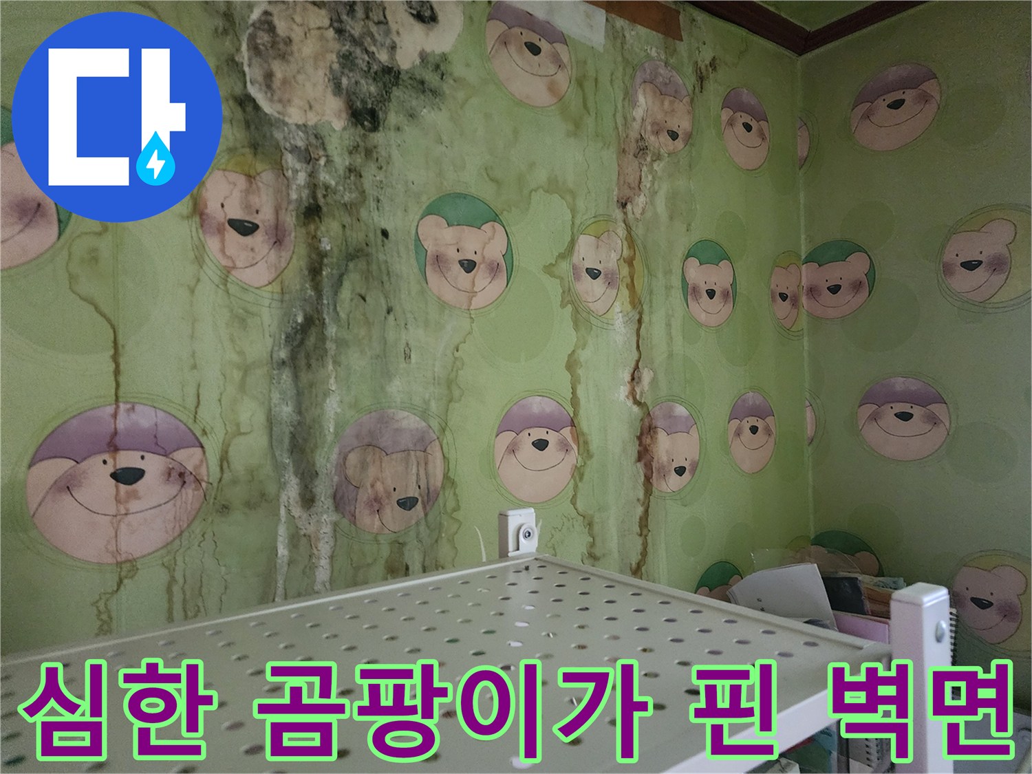 영북면 현장-벽지 곳곳에 나타난 누수 흔적과 곰팡이 오염