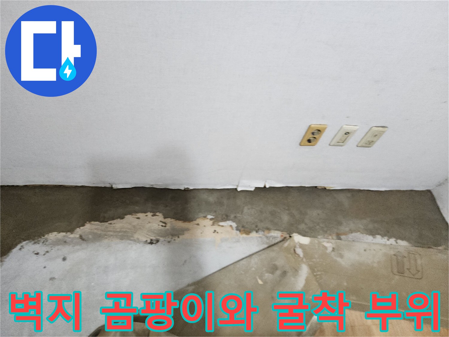 젖은 벽지와 파헤쳐진 바닥 현장