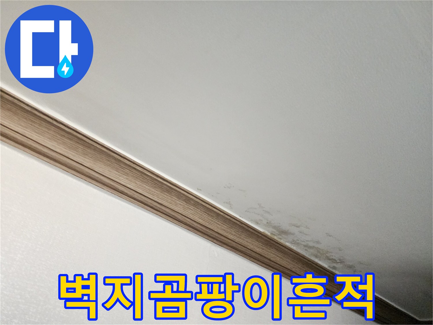 천장 벽면에 발생한 곰팡이와 습기 얼룩