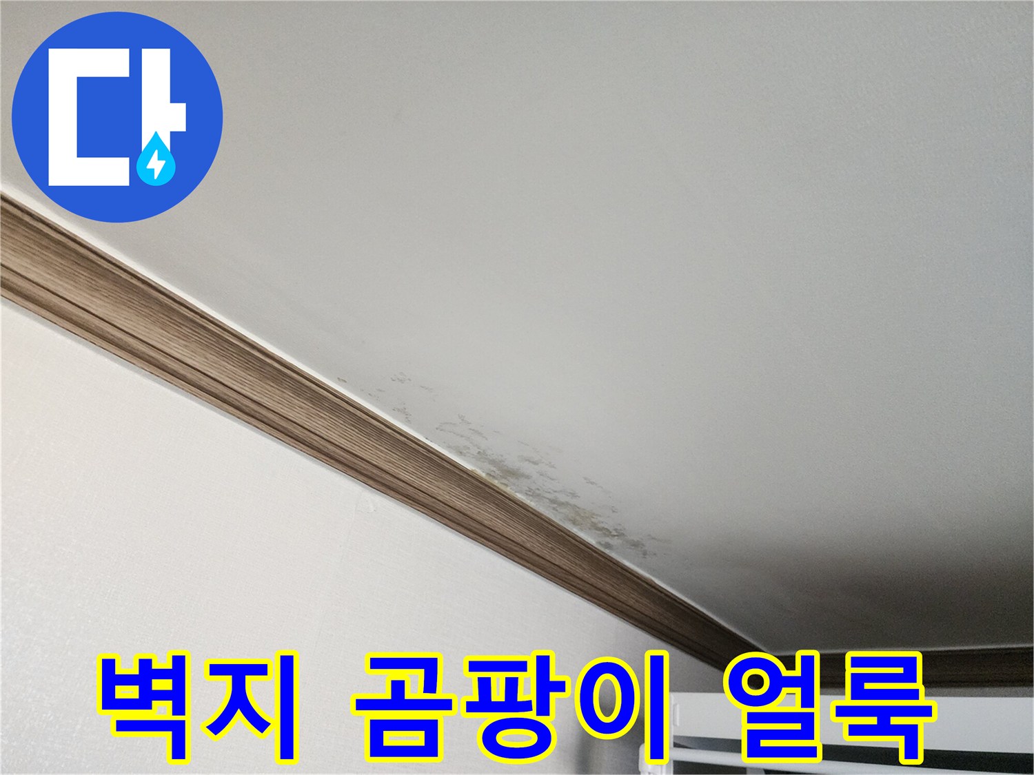 천장-벽지에-번진-검은색-곰팡이와-습기-흔적