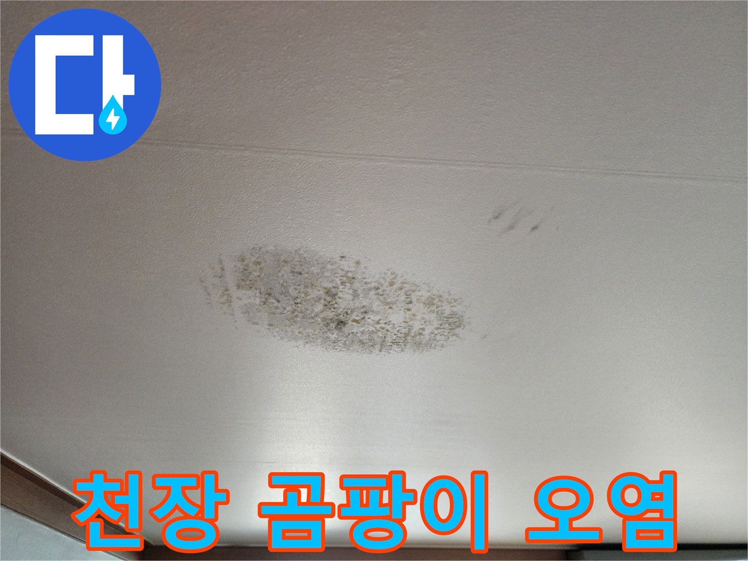 영북면 현장 - 천장에 번져 있는 물샘 흔적과 곰팡이 증상