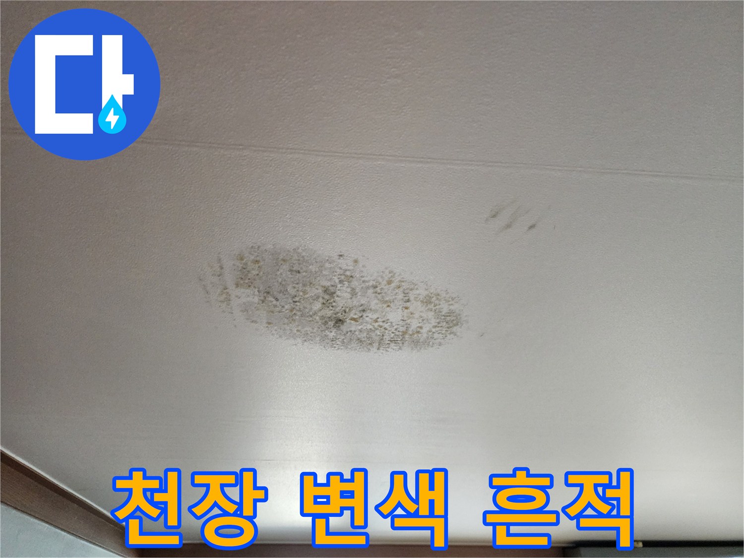 천장 마감재의 어두운 얼룩과 젖은 자국