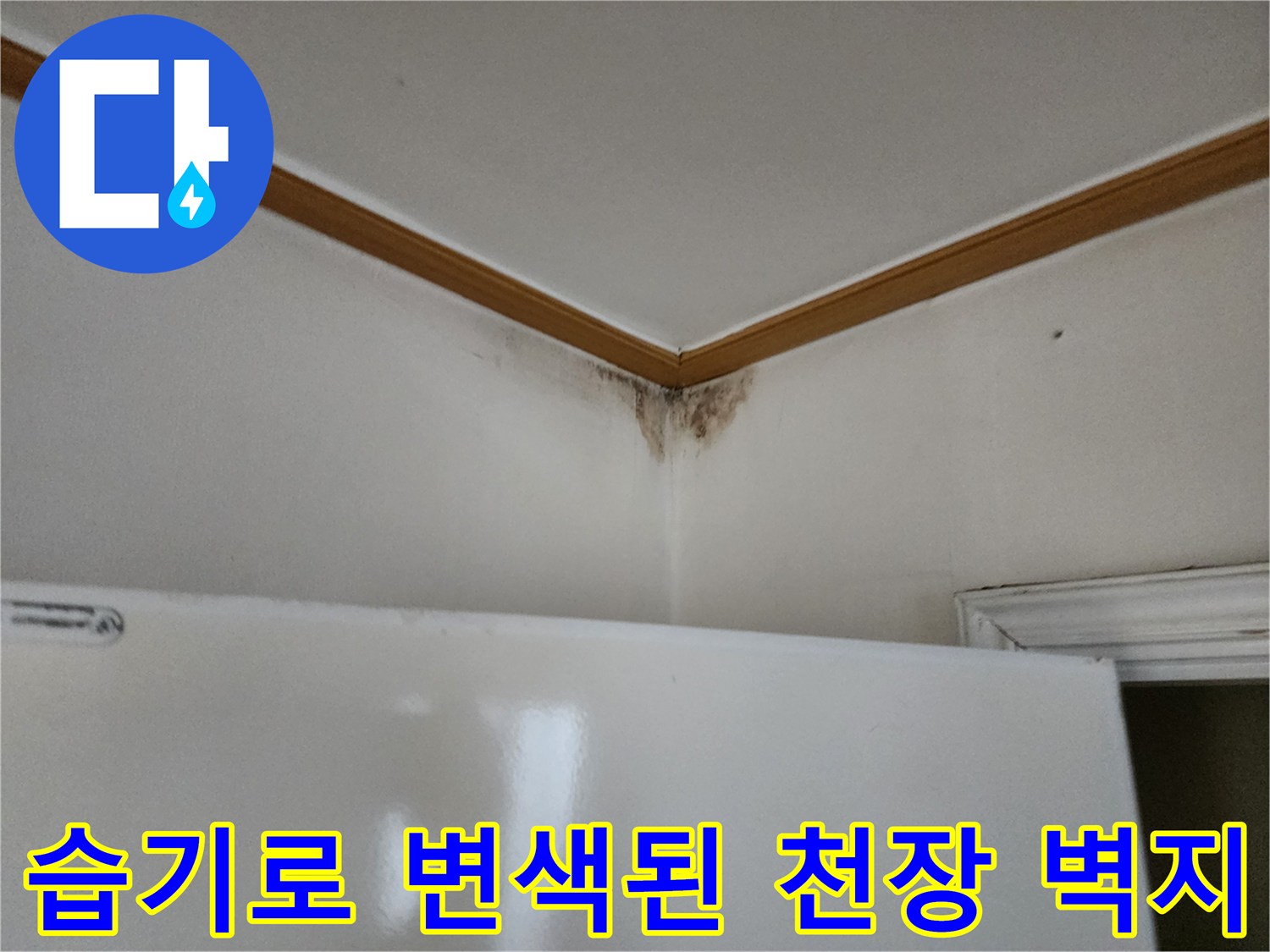 누수로 인해 젖고 변색된 천장 구석의 모습