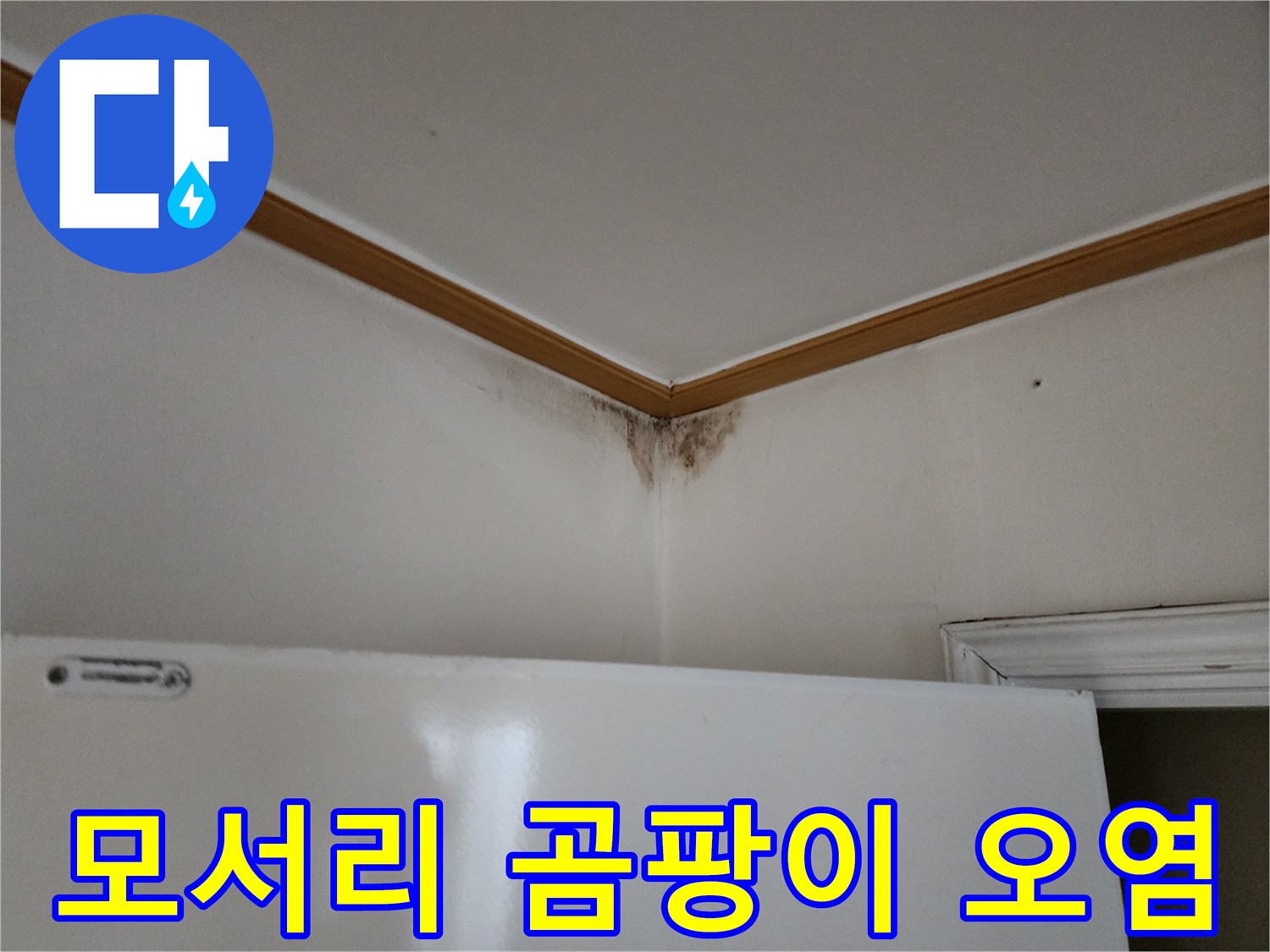 천장과 벽면이 만나는 모서리 부분에 발생한 곰팡이와 습기 흔적입니다.
