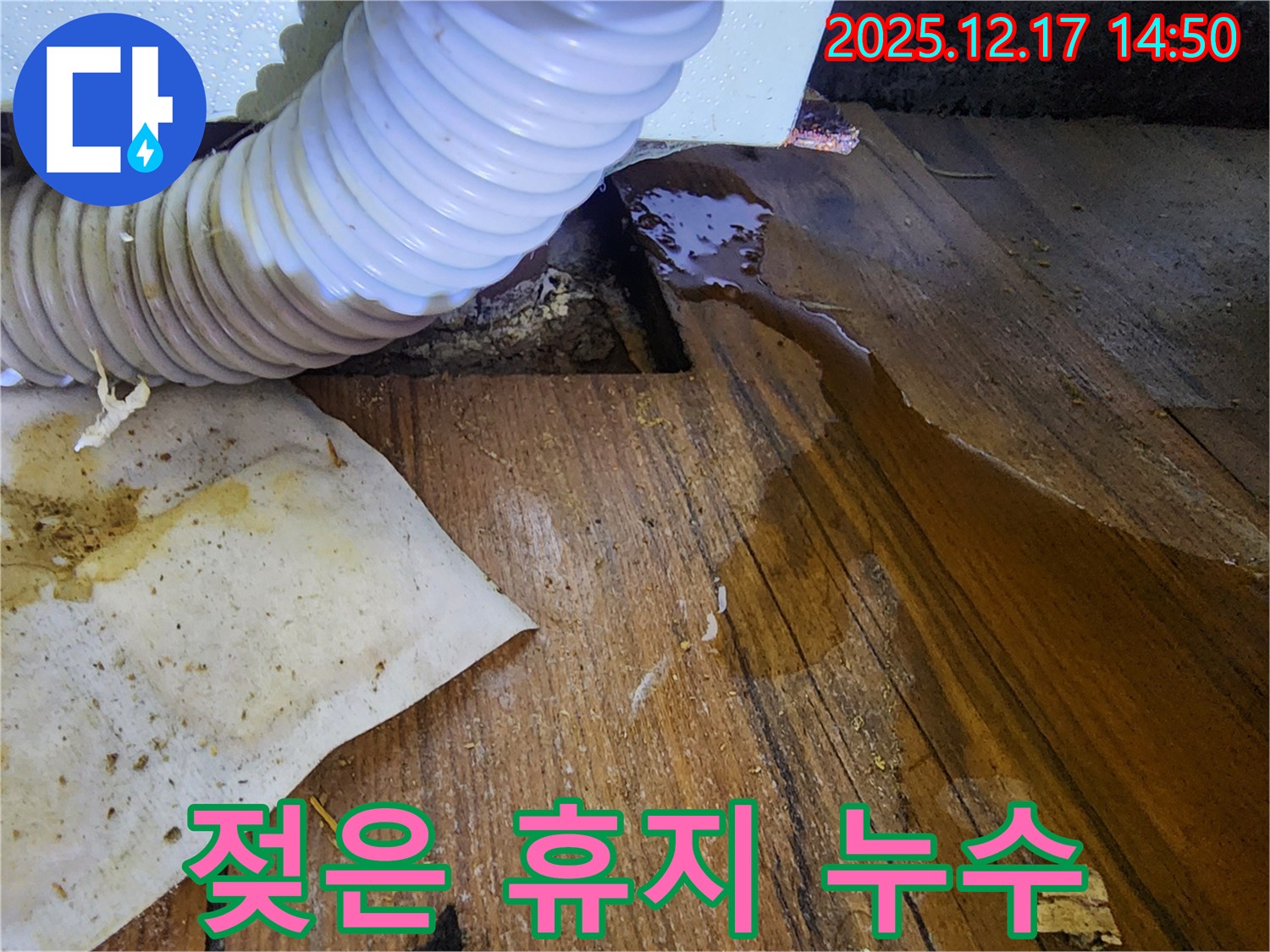 영북면 대회리 누수 - 싱크대 밑에 젖은 휴지를 발견하고 누수를 확인하여 신속하게 해결하는 모습입니다.