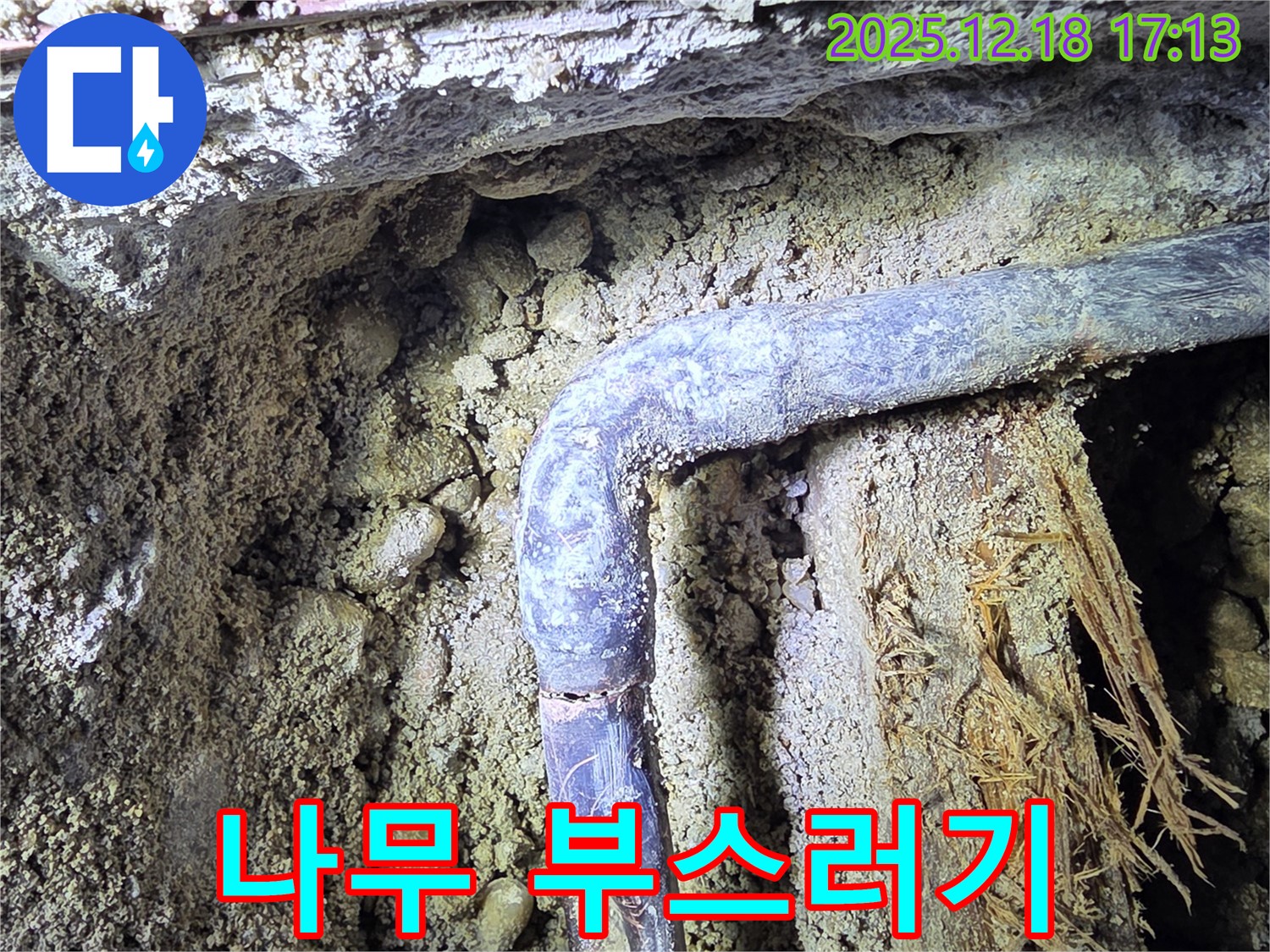 시흥 신천동 오성빌딩 누수 - 배관 주변에 나무 부스러기가 흩어져 있습니다 - 습기로 인해 목재가 부식되었을 가능성이 있습니다.