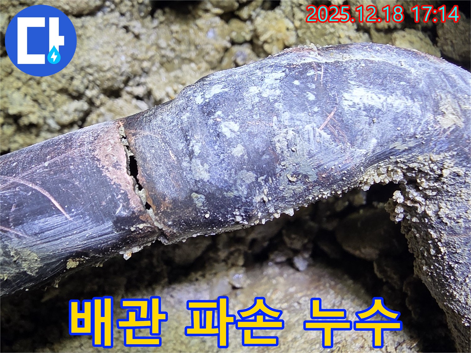 시흥시 신천동에서 발생한 배관 파손 누수 - 배관의 심각한 균열과 파손 상태를 보여줍니다.
