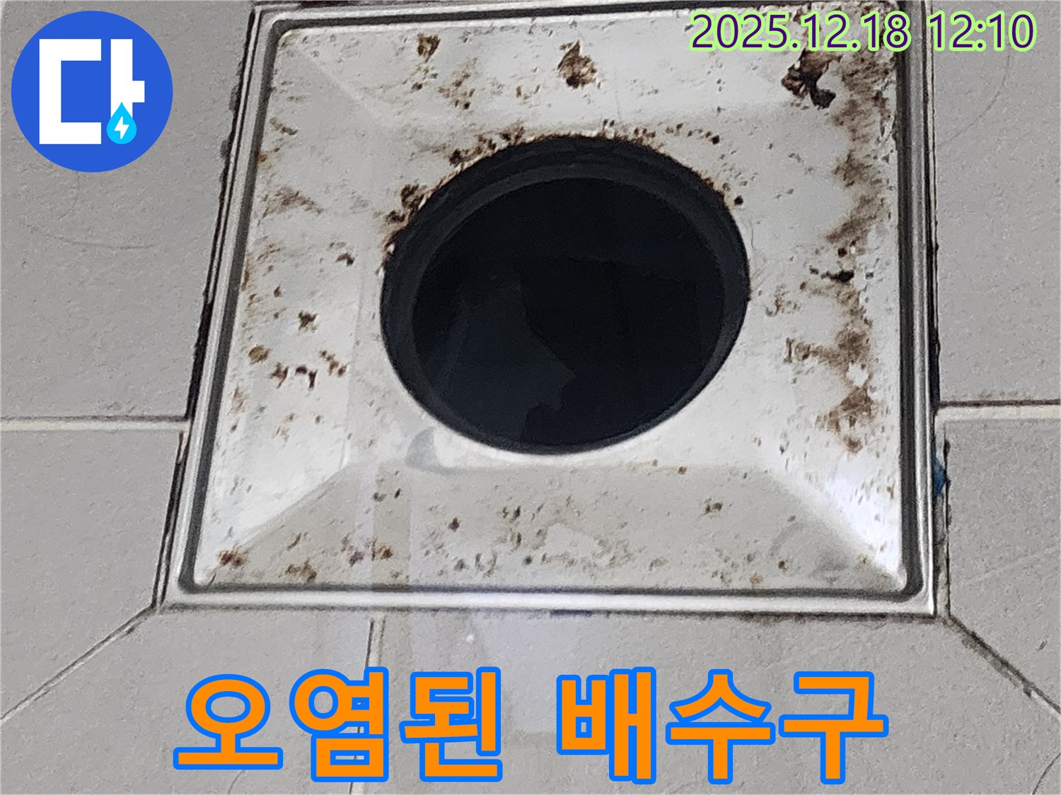심하게 오염된 욕실 배수구 - 포천시 영북면 가채리 누수 현장