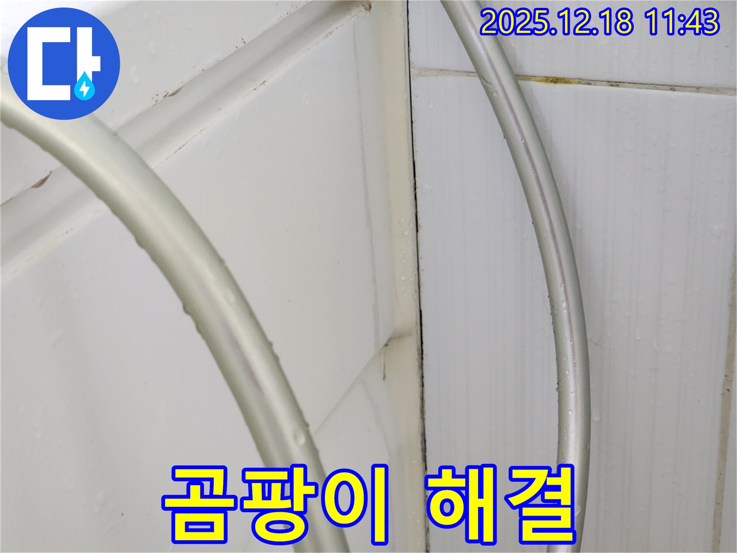 영북면 가채리 샤워기 누수 - 꽉 조여서 곰팡이 걱정 없이!