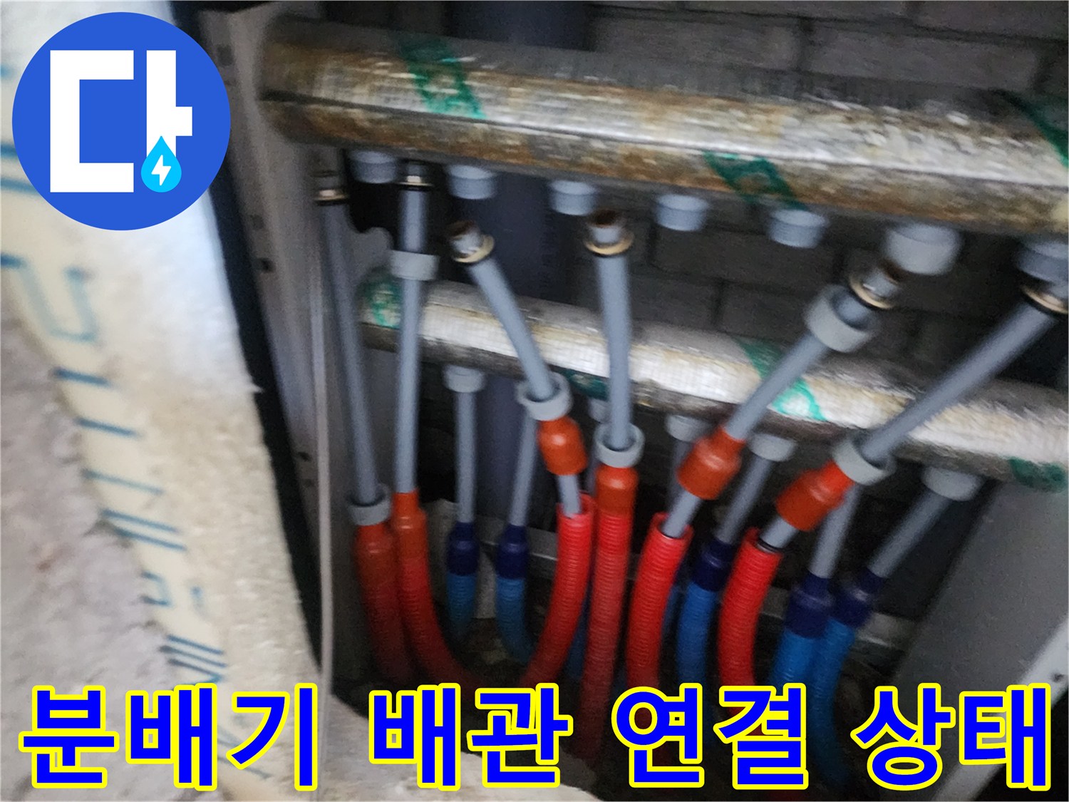 색상이 구분된 이중관 형태의 분배기 내부 배관 배열 사진