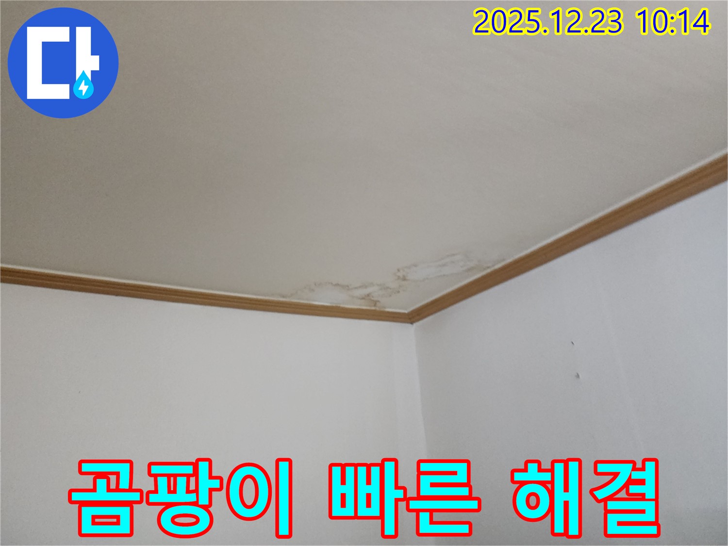 고암동 아파트 천장 누수 - 곰팡이 발생, 건강 위협 - 빠른 해결 필요