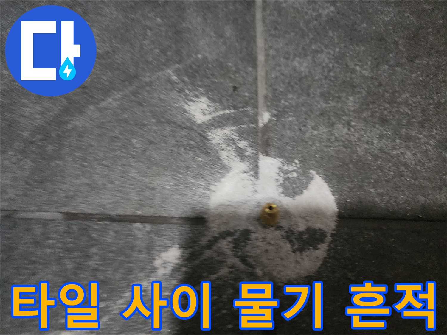 양주 고암동 현장-젖어 있는 타일 줄눈과 백화 현상