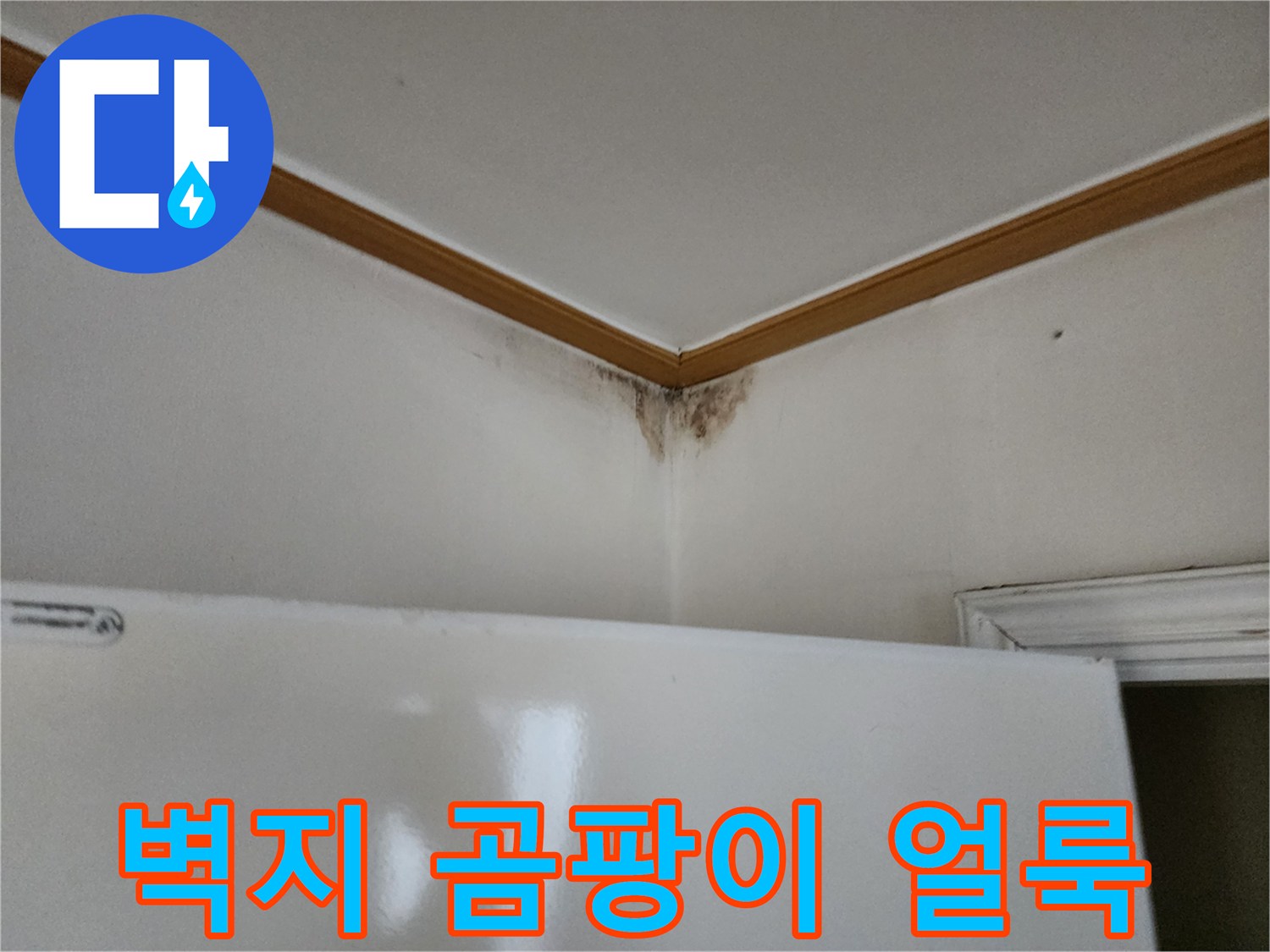 천장 몰딩 아래로 번진 물샘 자국과 곰팡이