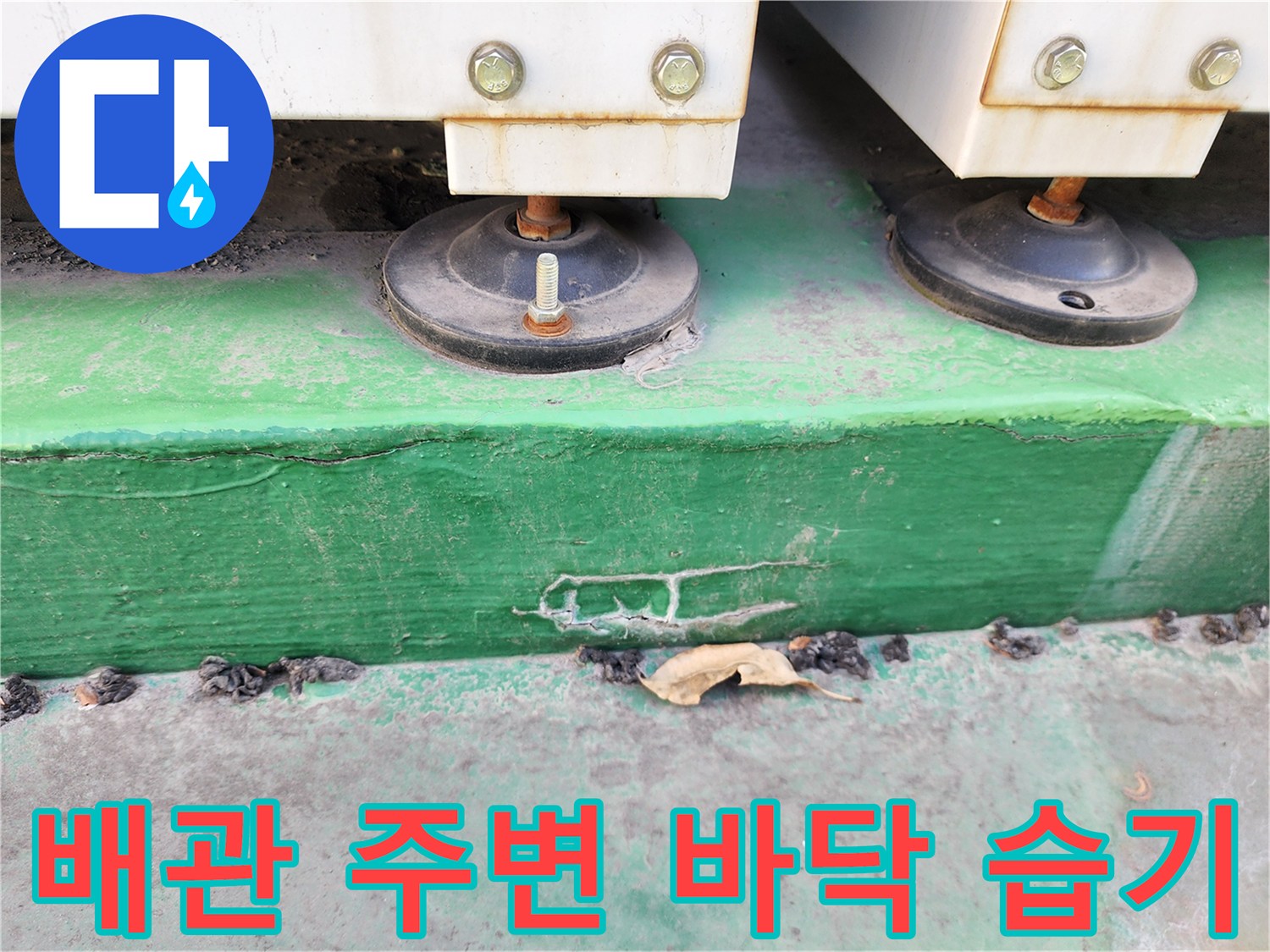 싱크대 지지대 아래쪽 녹색 바닥면의 습기 침투 및 오염 상태