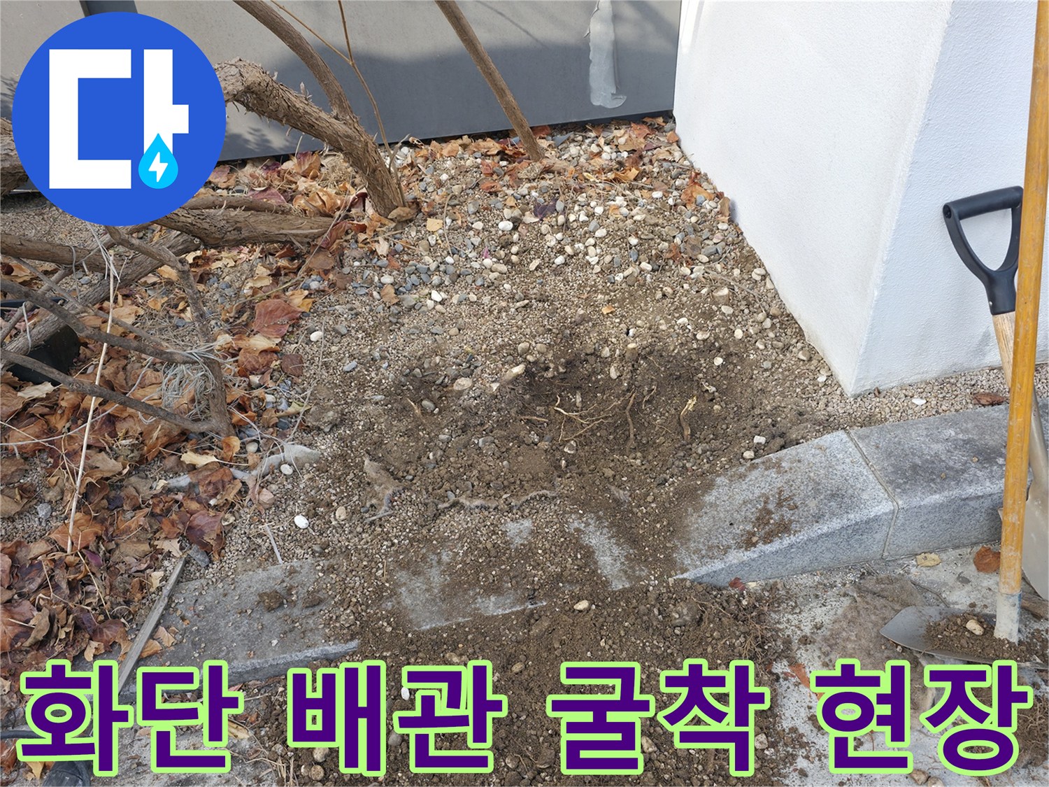 나무뿌리와 흙이 섞인-배관 노출을 위한 굴착 작업