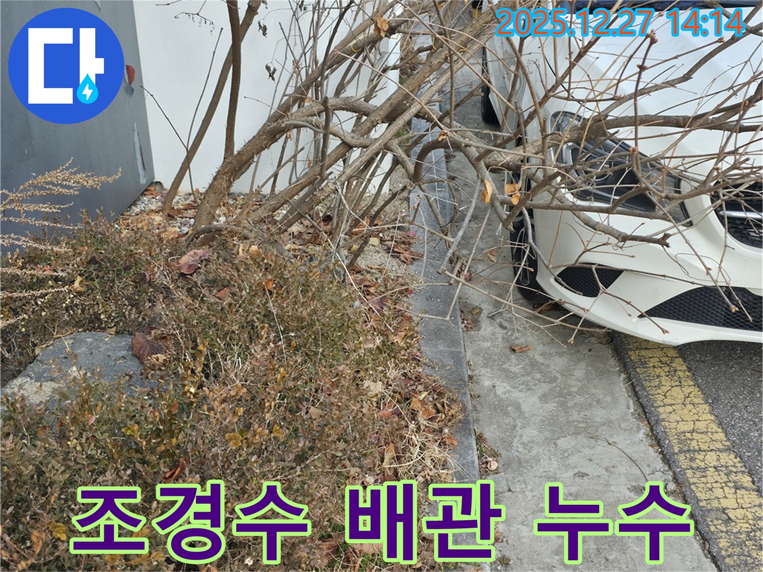 상가 조경수 관리용 배관 누수 - 정확한 누수 지점 파악으로 불필요한 공사를 줄이고 비용을 절감합니다.