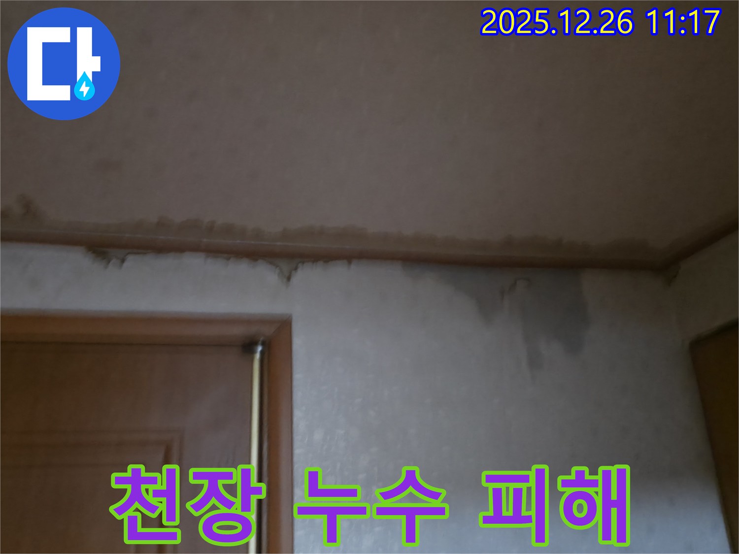 일산 백석동 아파트 천장 누수 - 물 떨어짐