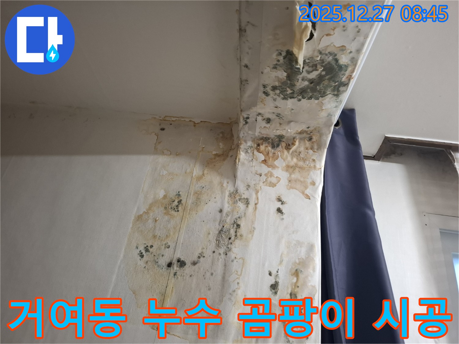 거여동 누수 현장 - 곰팡이 제거 시공 사례, 누수탐지 전문가의 완벽한 마무리