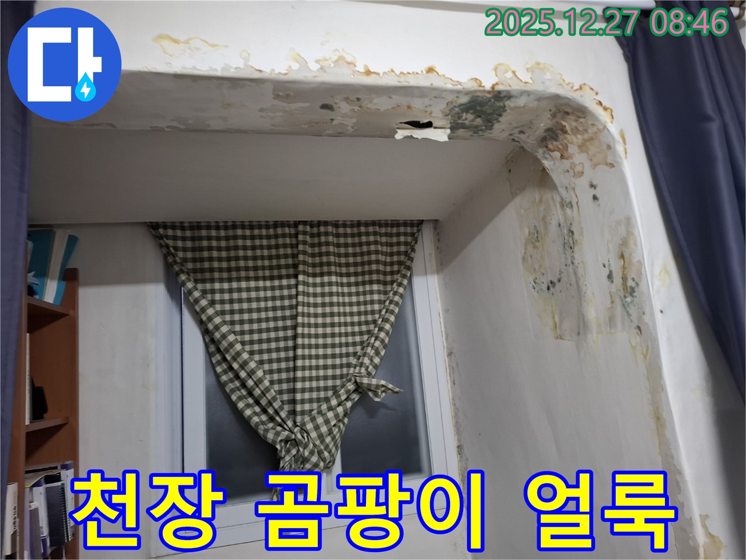 석촌동 천장 곰팡이 얼룩 - 누수로 인한 천장 손상