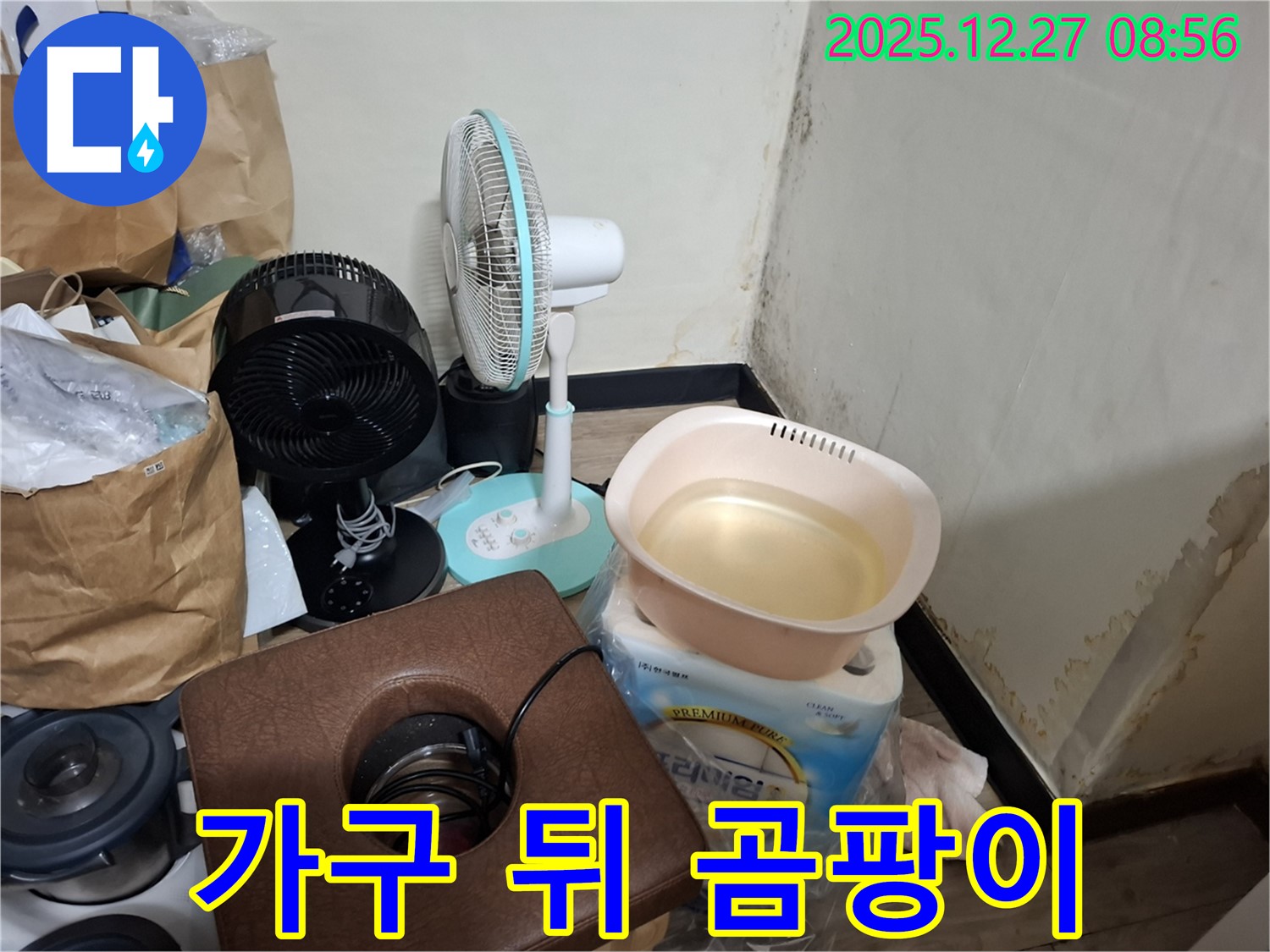 송파구 삼전동 누수 현장 - 가구 뒤에 숨어있는 곰팡이를 찾아내는 모습입니다 - 꼼꼼한 탐색.