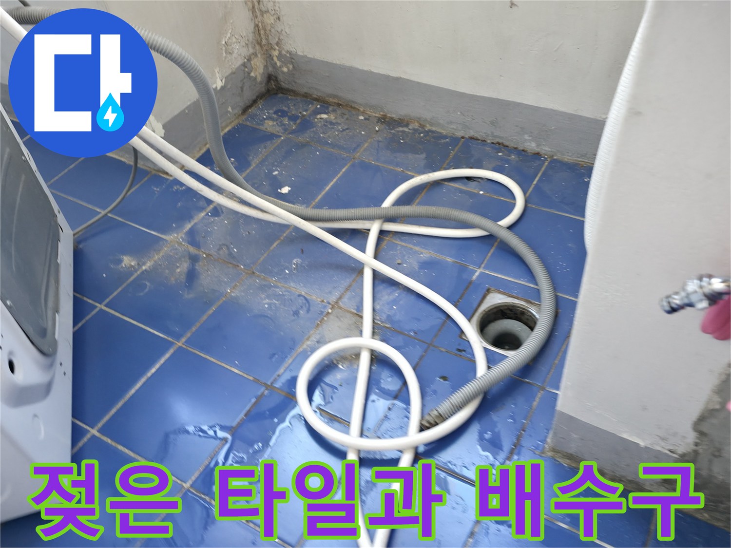 물기가 흥건한 세탁실 바닥 하수구 주변의 상태 사진