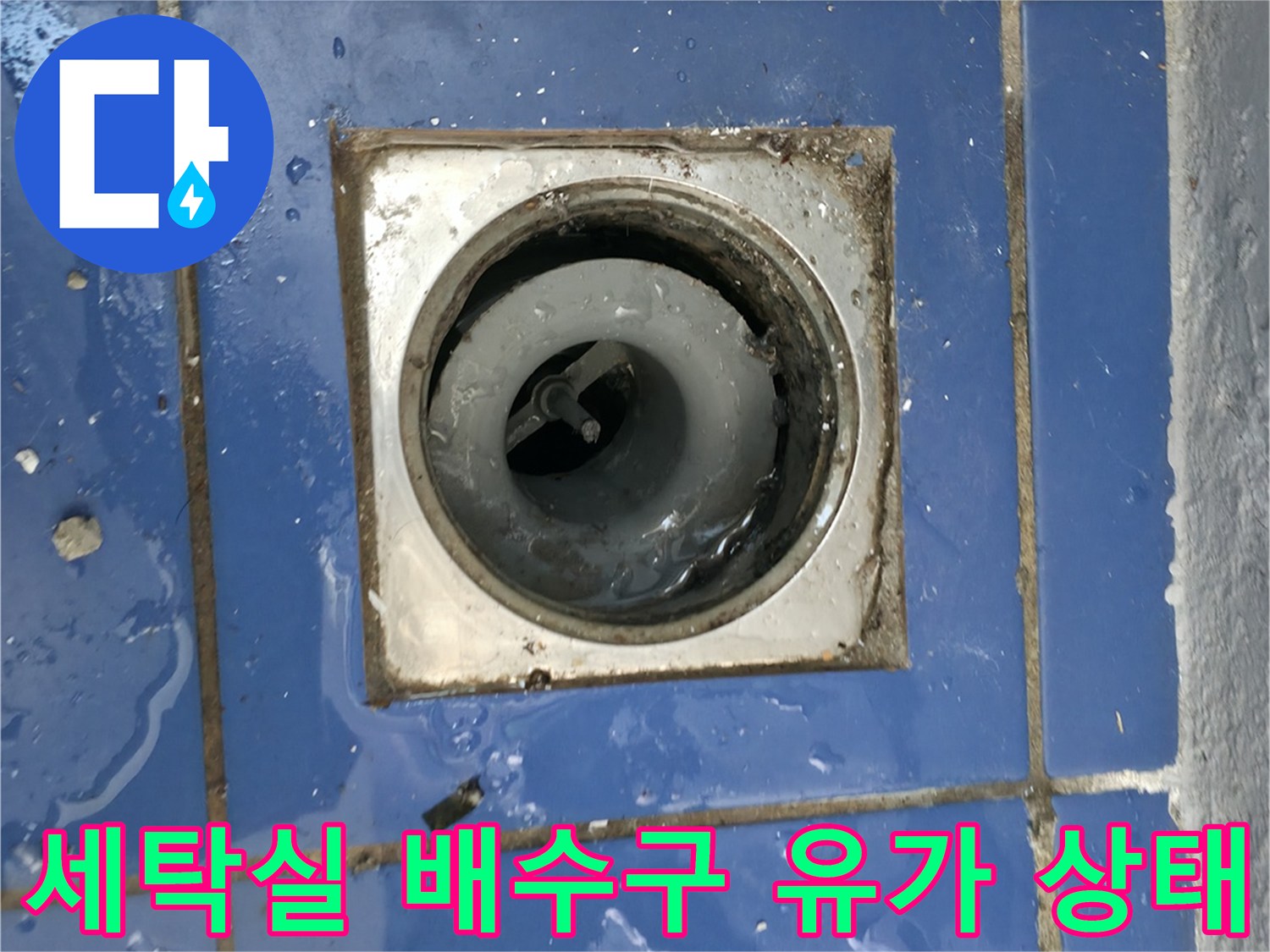 성동구 아파트 세탁실 하수구 유가 주변의 물기 맺힘 현상