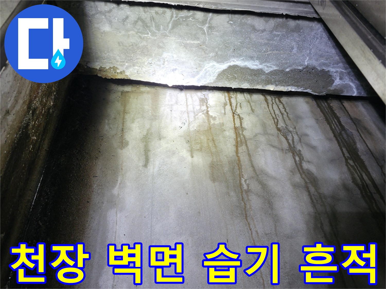 콘크리트-벽면-습기로-오염된-상태