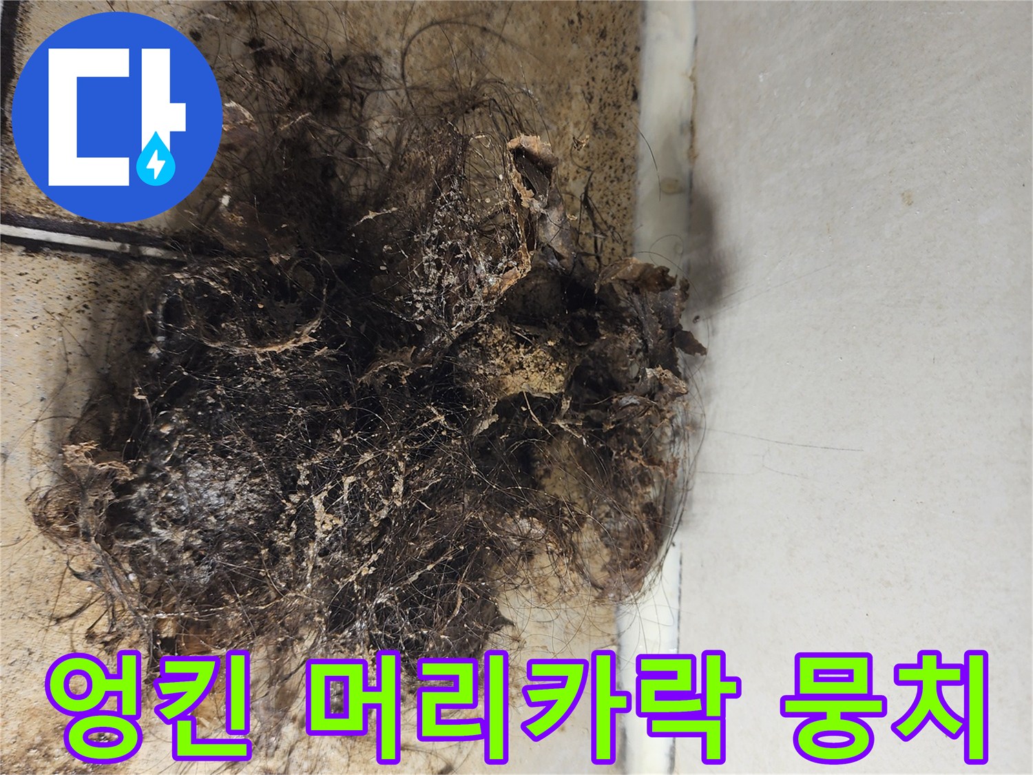 배수관 입구에 쌓인 오염된 이물질 더미