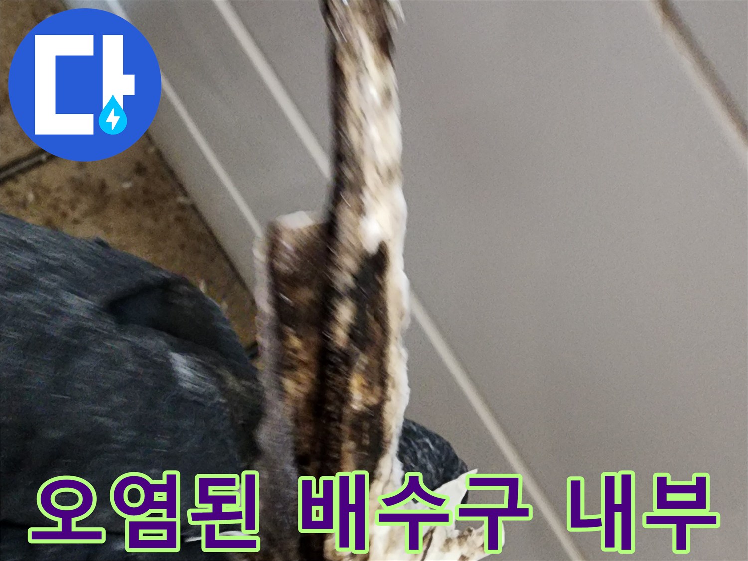 배수구-내부의-이물질과-오염된-배관-주변-상태