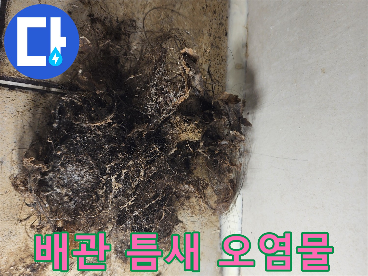 화장실-바닥-배수구-주변의-머리카락과-찌꺼기-뭉치