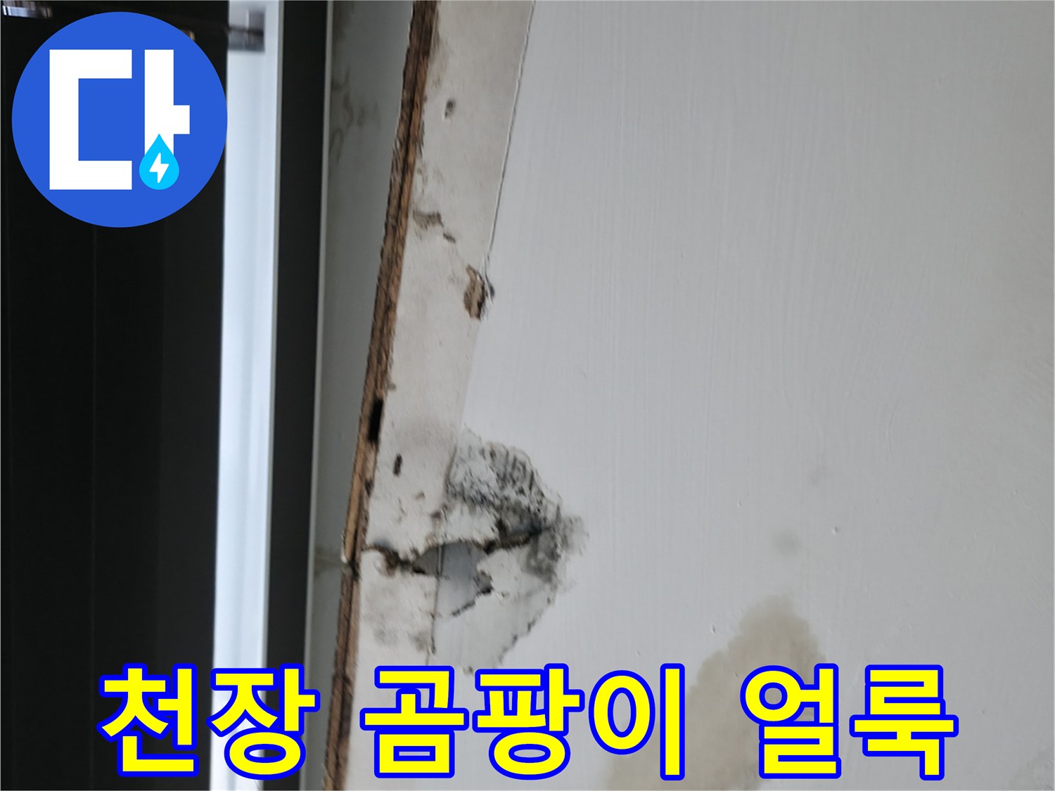 사무실 내부-젖은 천장 마감재와 곰팡이 발생 부위