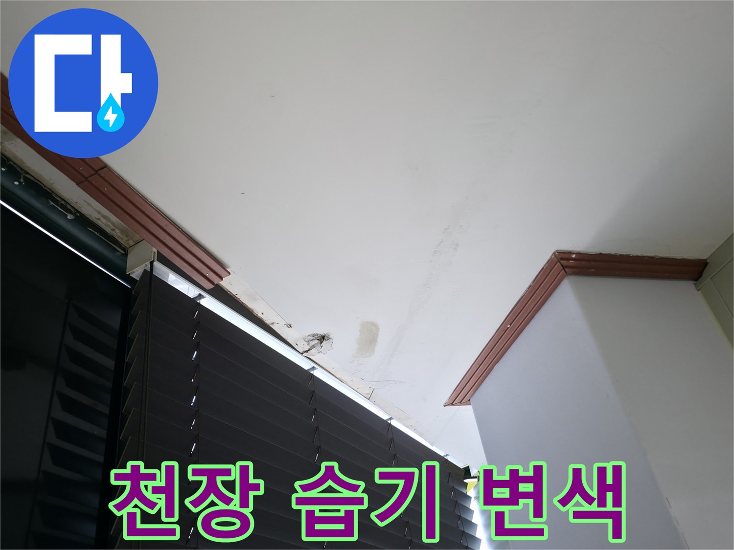 천장 몰딩 주변-습기로 인한 얼룩 및 변색 부위