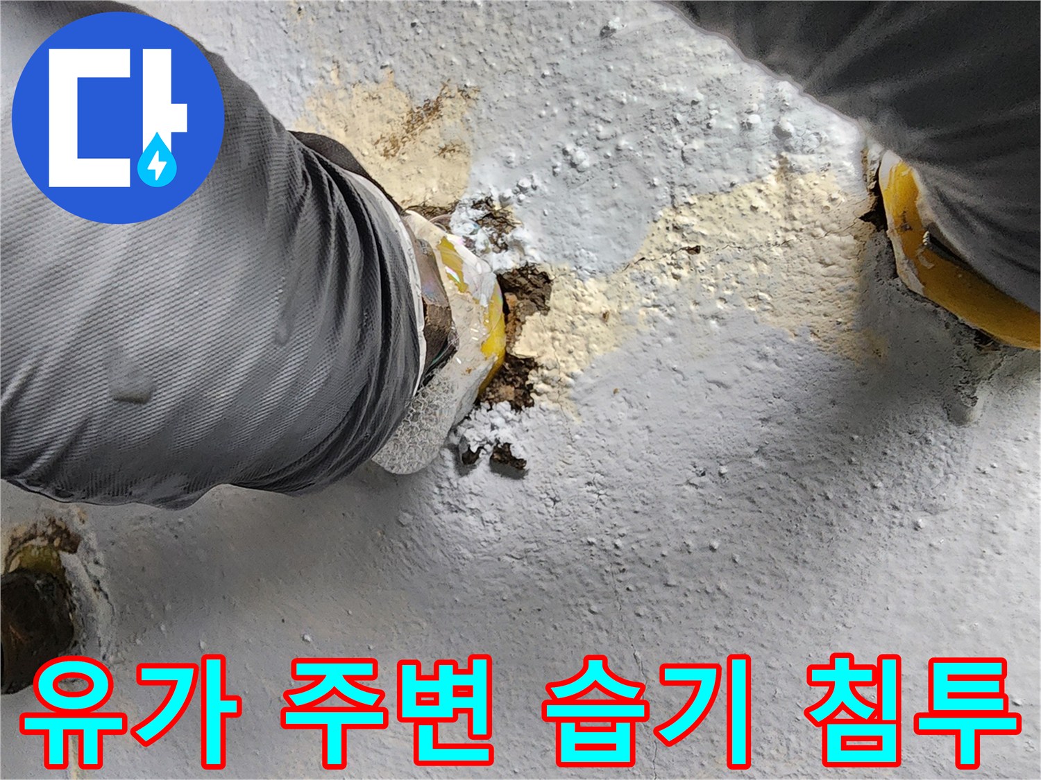 배수구 유가 근처 타일 사이로 물이 스며든 상태를 보여줍니다.