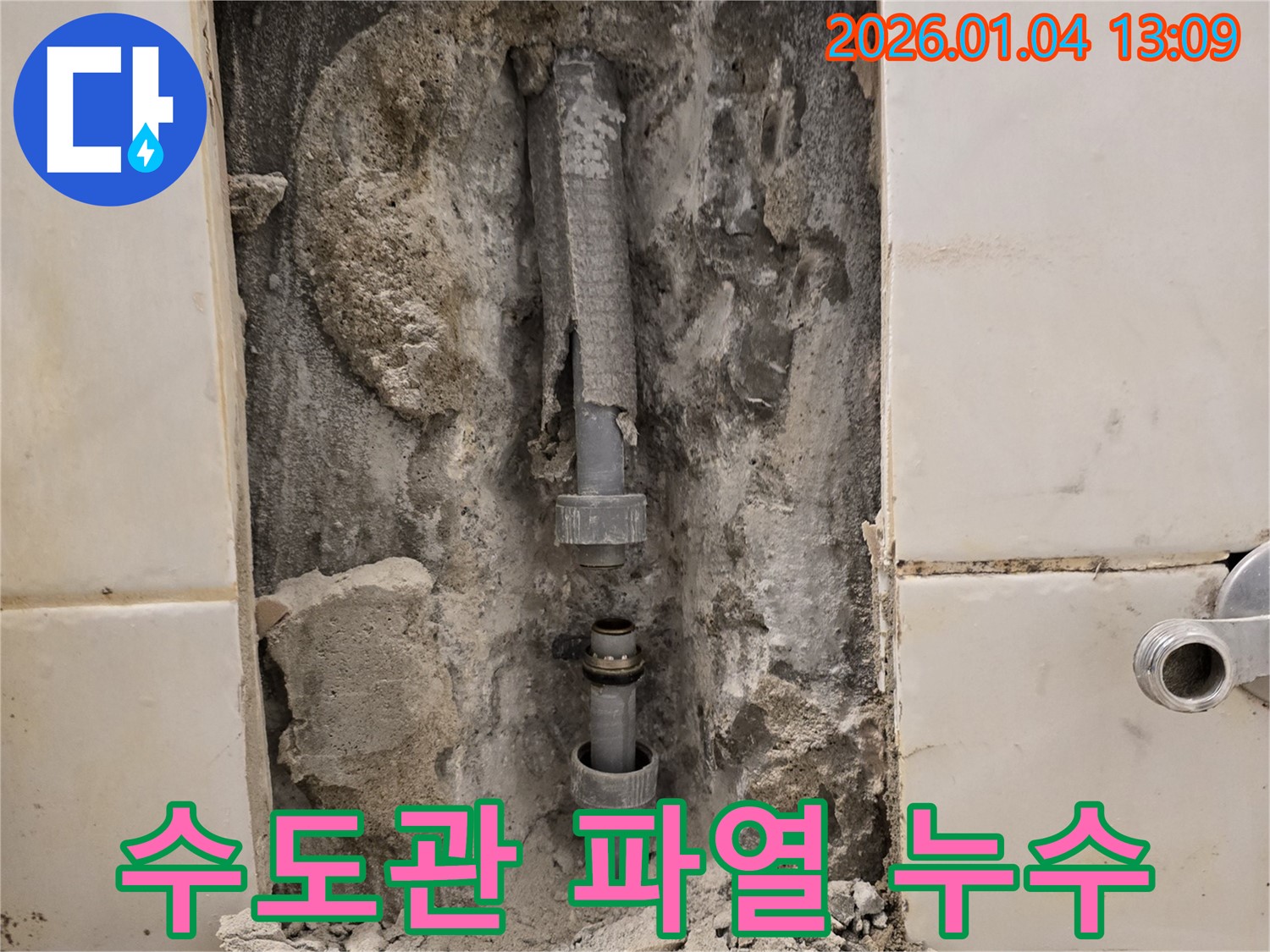 성동구 마장동 주택 마당 수도관 파열 - 신속하게 해결