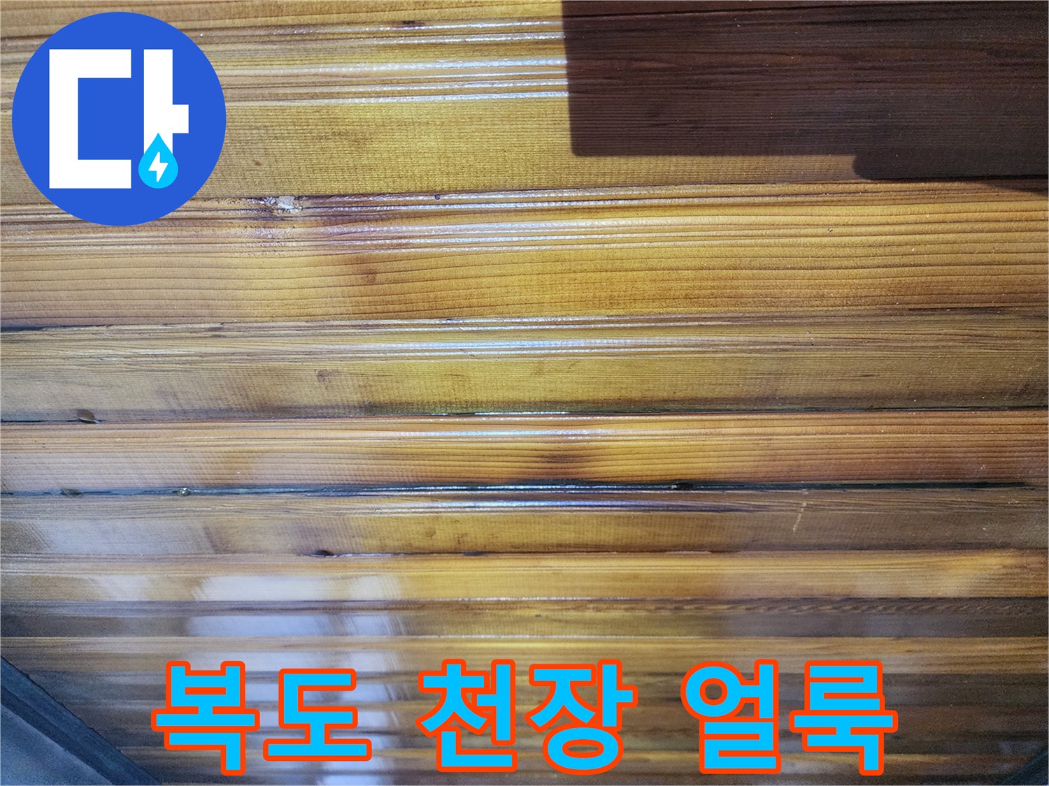 물샘 현상이 의심되는 서대문구 복도 천장 부위